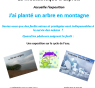 J'ai planté un arbre en montagne : Exposition à la médiathèque