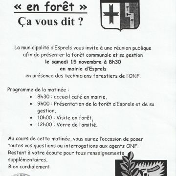 Un samedi << en forêt >> ca vous dit ?