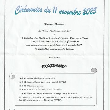 Cérémonies du 11 novembre